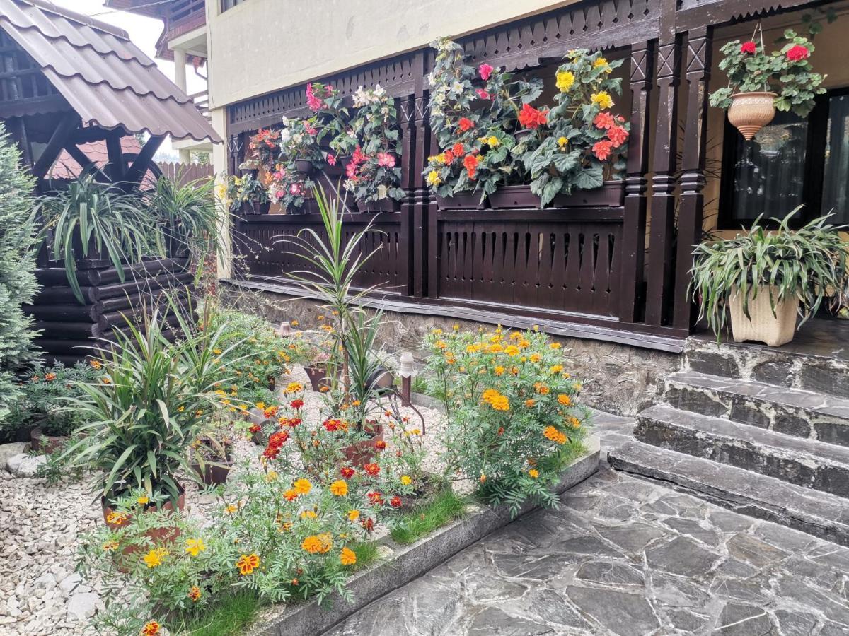 Shelby Accommodation -Adult Only- Sinaia Eksteriør billede