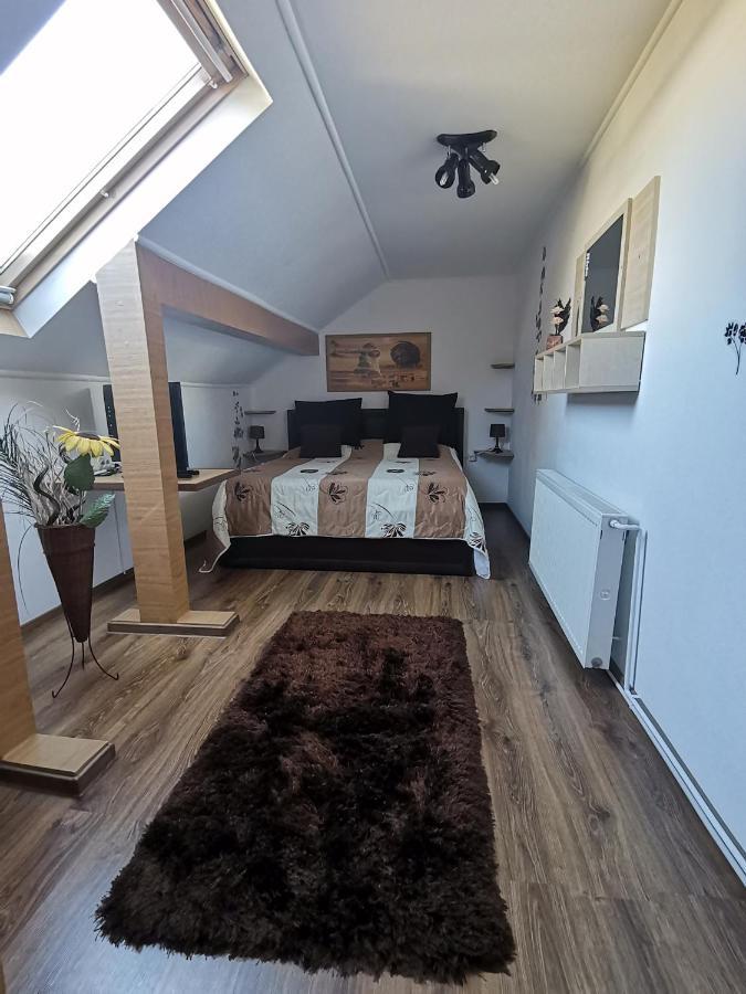 Shelby Accommodation -Adult Only- Sinaia Værelse billede