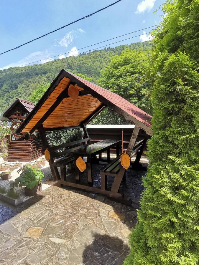 Shelby Accommodation -Adult Only- Sinaia Eksteriør billede
